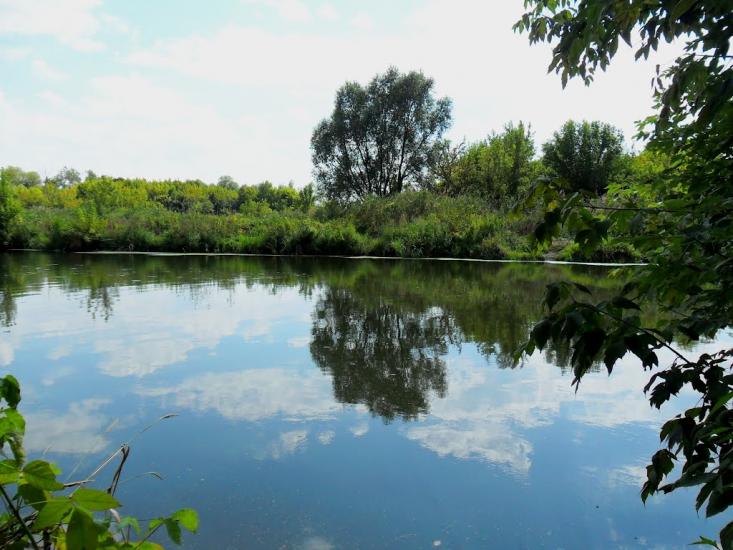 Васищеве з panoramio.com - Васищеве