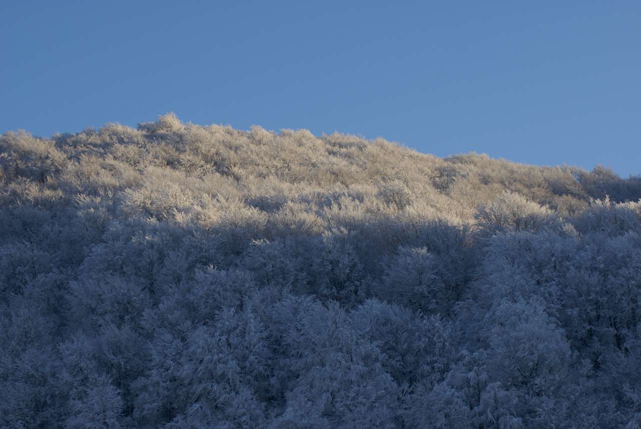 Виженка якою я ЇЇ бачу - Vyzhenka
