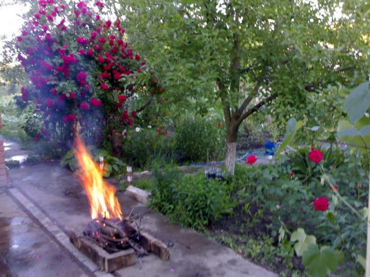 Кобеляки з panoramio.com - Kobelyaki