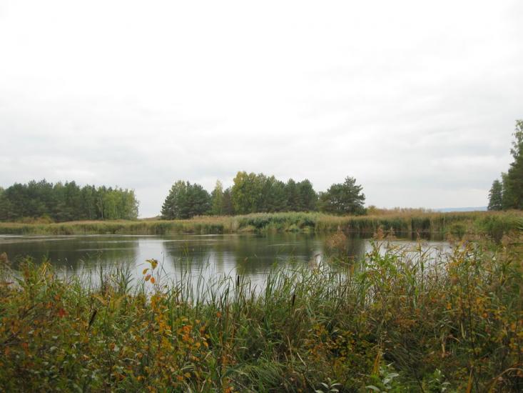 Хоцьки з panoramio.com - Хоцки