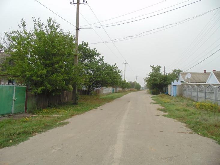 Новотимофіївка з panoramio.com - Новотимофіївка
