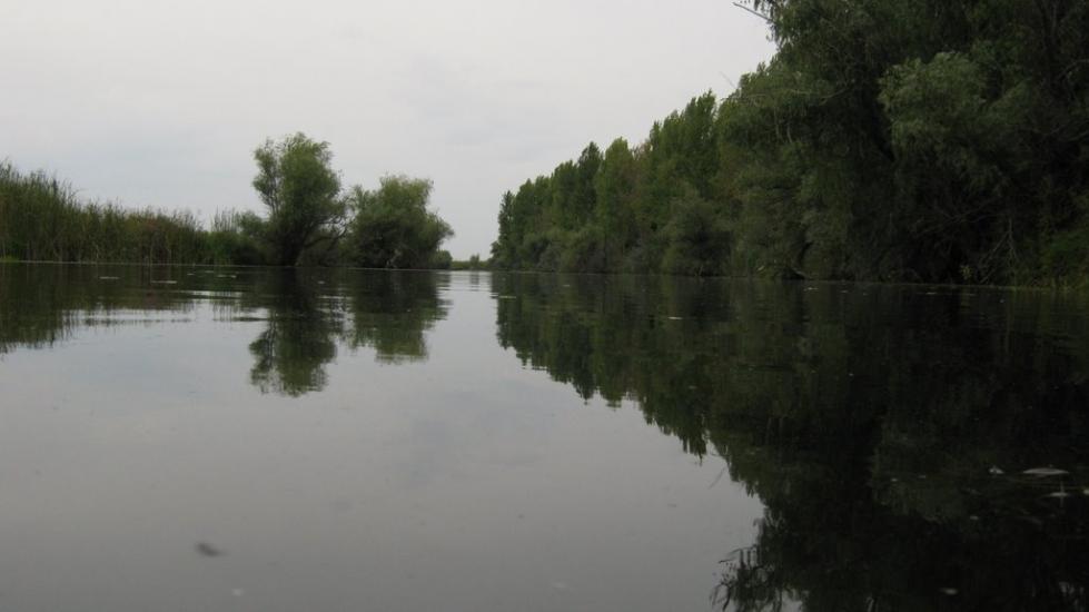 Новосільське з panoramio.com - Novosilske