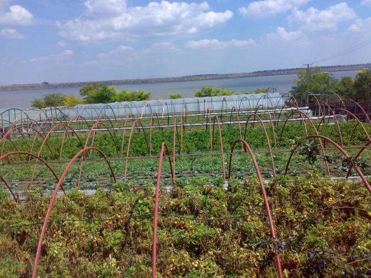 Утконосівка з panoramio.com - Утконосовка