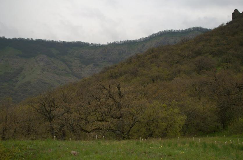 Міжріччя з panoramio.com - Міжріччя