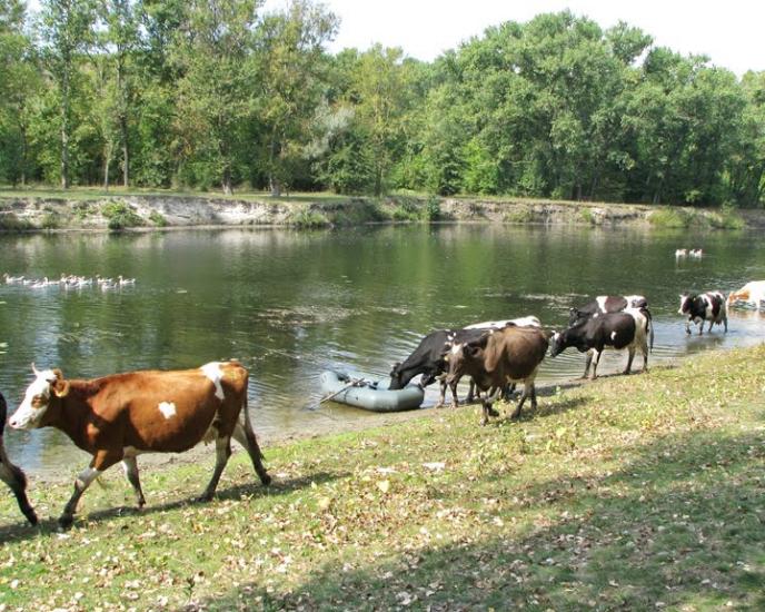 Балаклія з panoramio.com - Балаклія