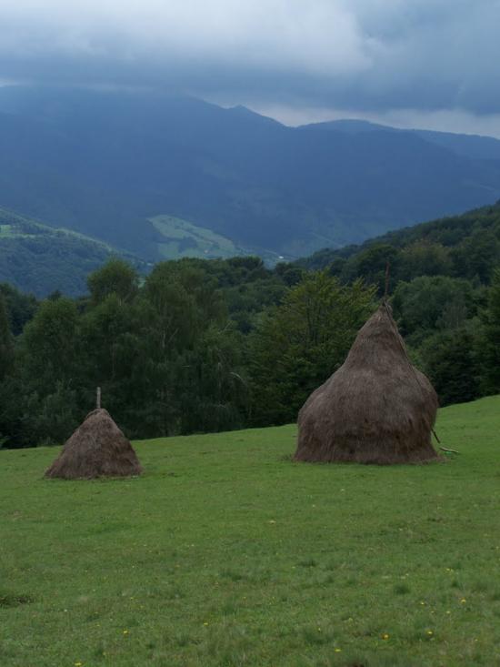 Кобилецька Поляна з panoramio.com - Кобылецкая Поляна