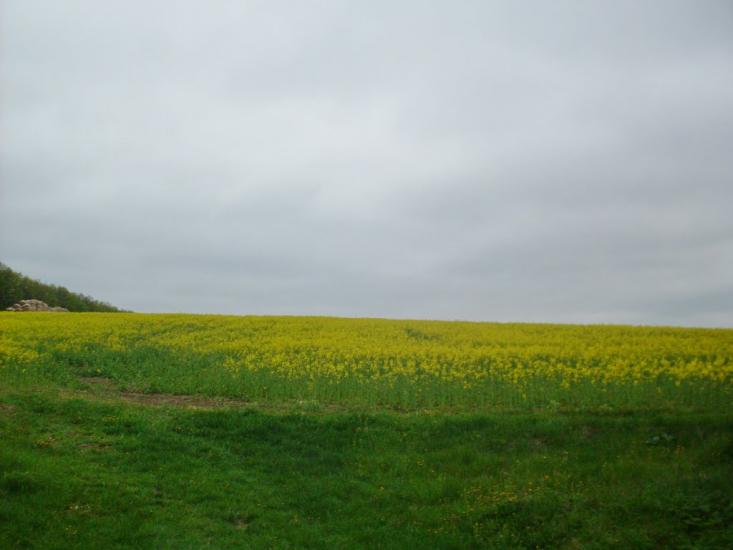 Ярмолинці з panoramio.com - Ярмолинці