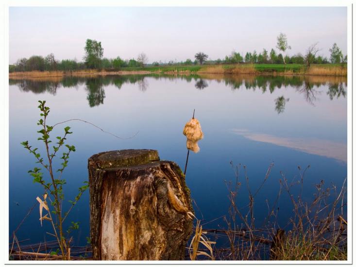 Тепениця з panoramio.com - Тепениця