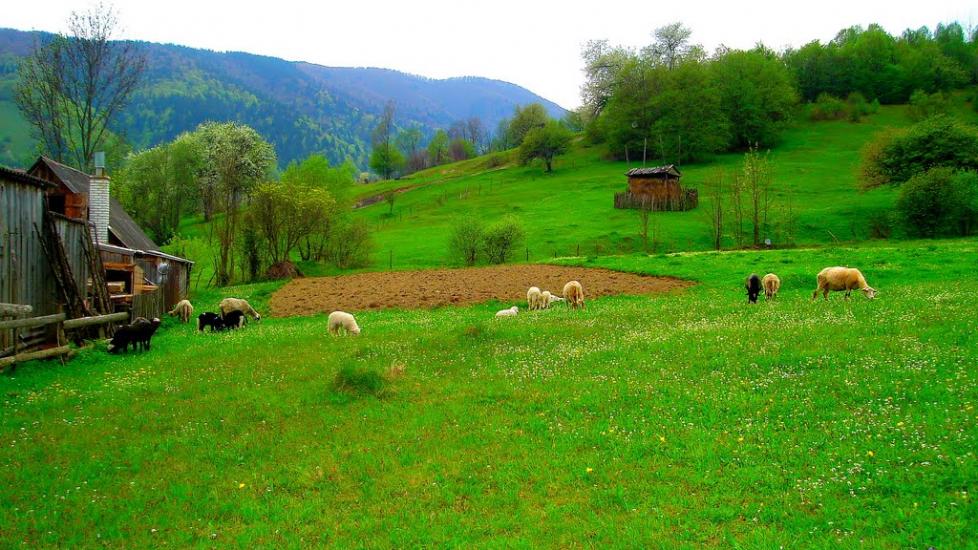 Кваси з panoramio.com - Квасы