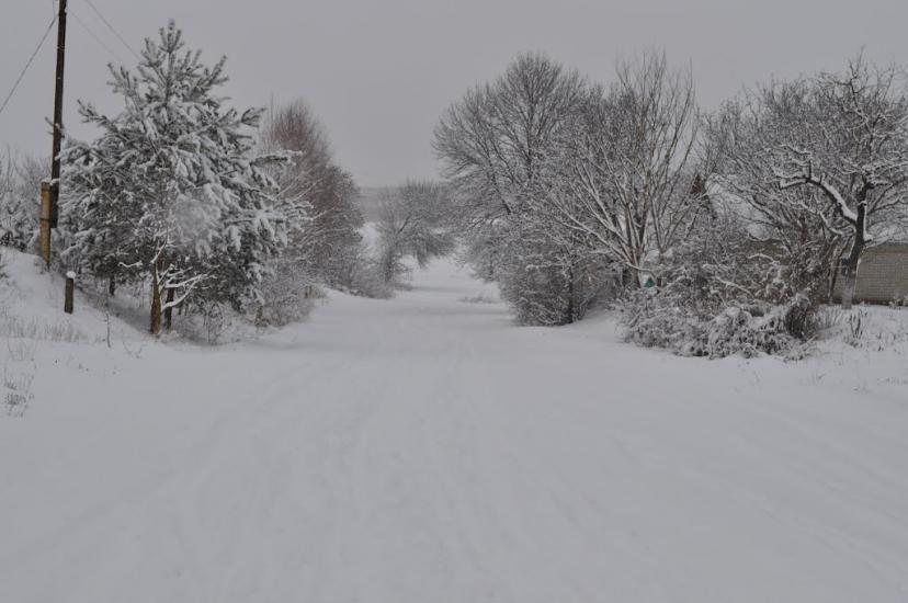 Заріцьк з panoramio.com - Зарецк