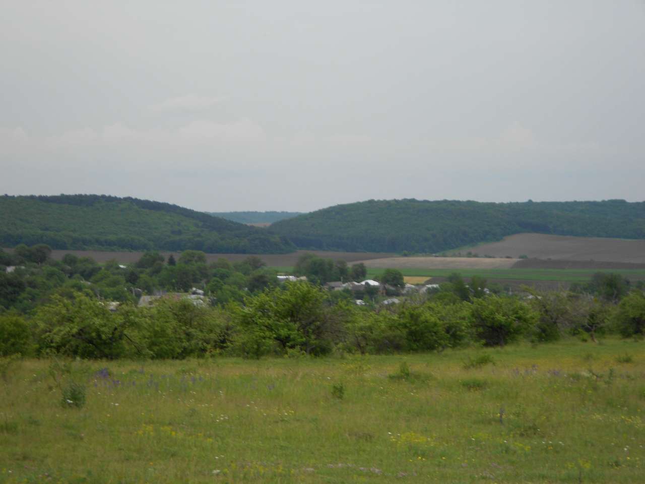 Паївка з panoramio.com - Паївка