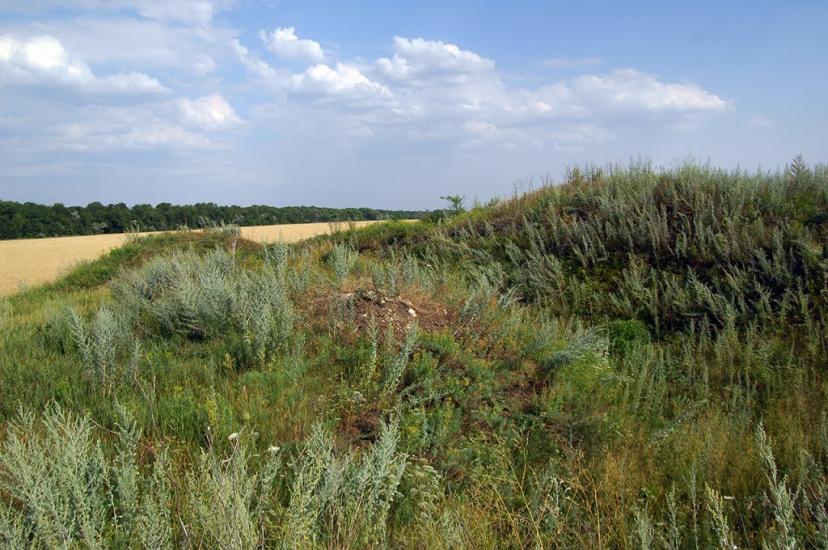 Весела Долина з panoramio.com - Весела Долина