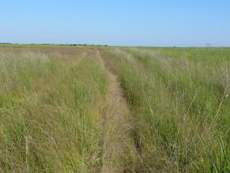 Геройське з panoramio.com - Geroyske