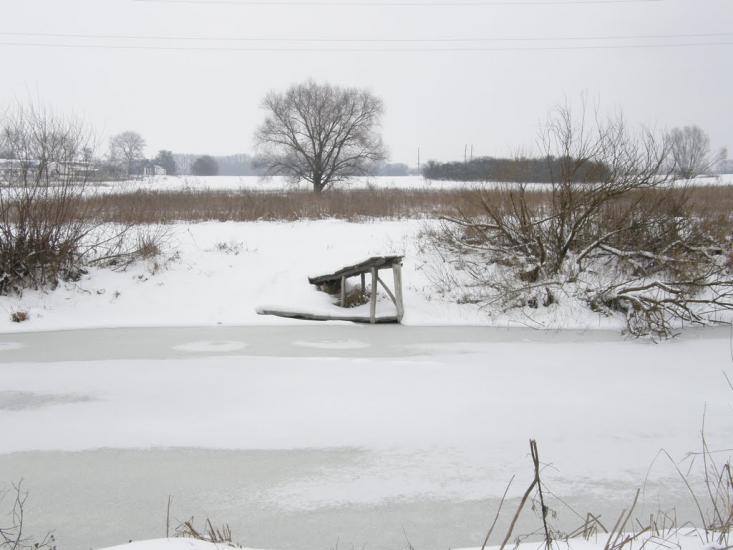 Заріг з panoramio.com - Зарог
