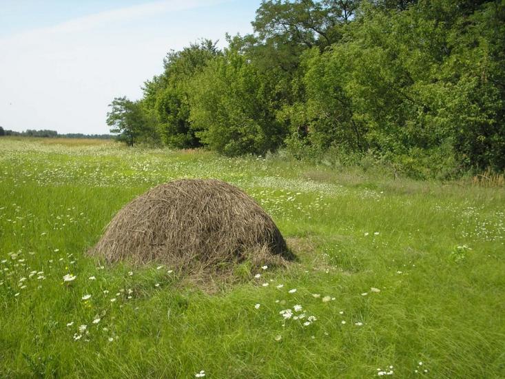 Скрипчин з panoramio.com - Скрипчин