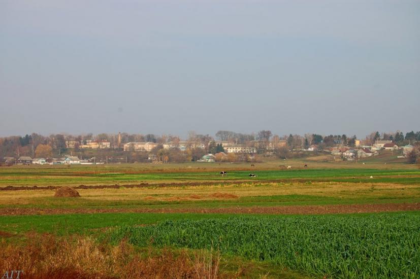 Великі Межирічі з panoramio.com - Великі Межирічі