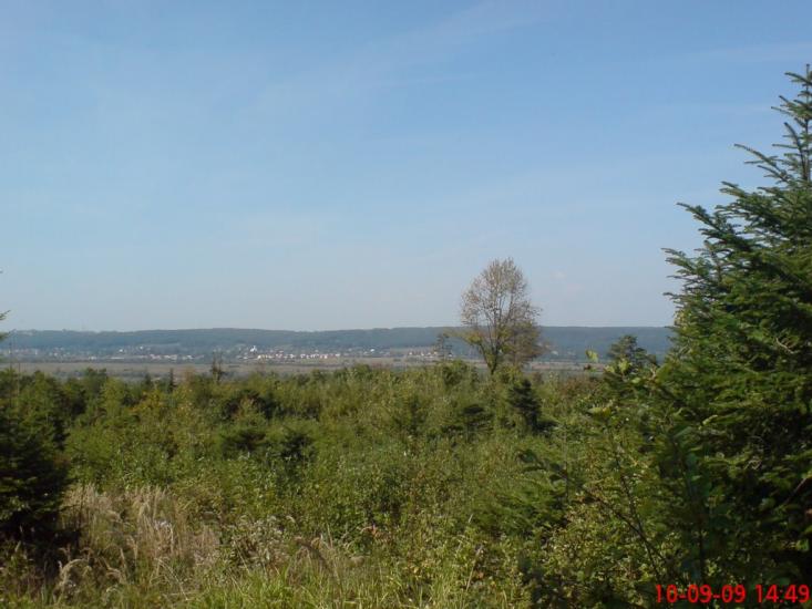 Вістова з panoramio.com - Вістова