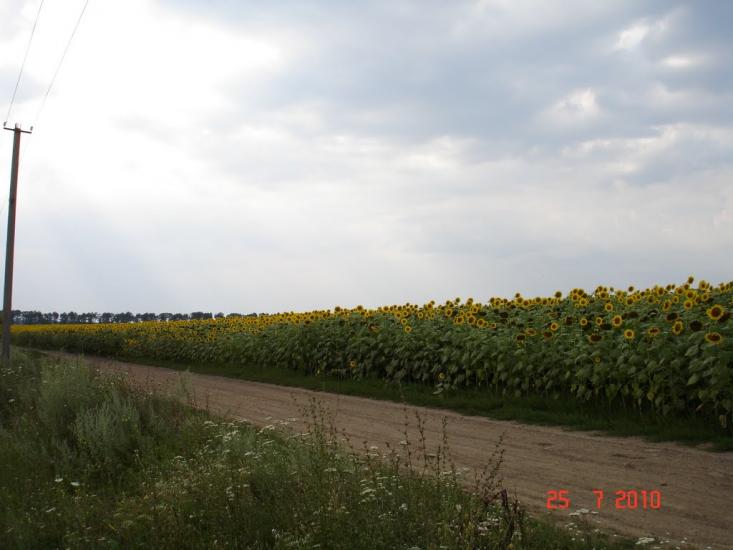 Грузьке з panoramio.com - Грузьке