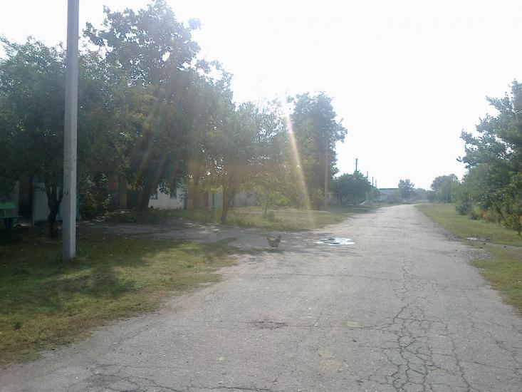 Дмитрівка з panoramio.com - Дмитрівка