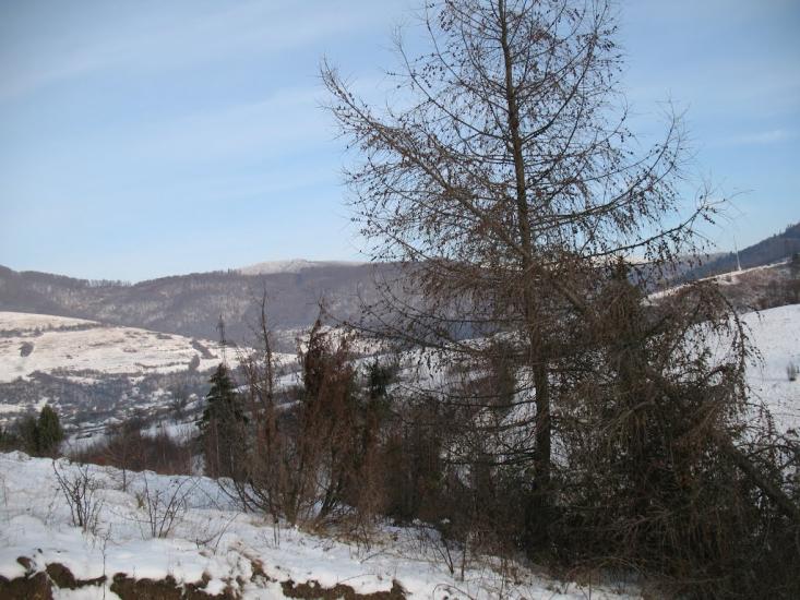 Ставне з panoramio.com - Ставне