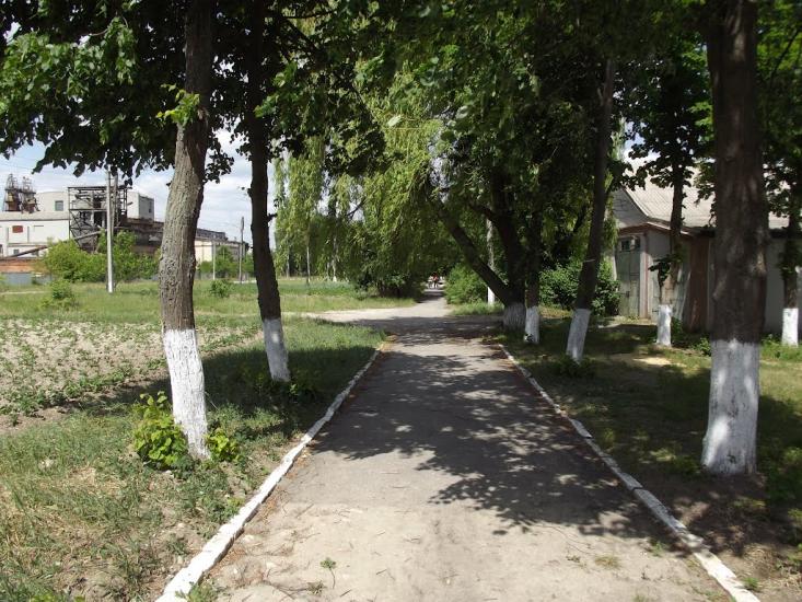 Маркове з panoramio.com - Маркове