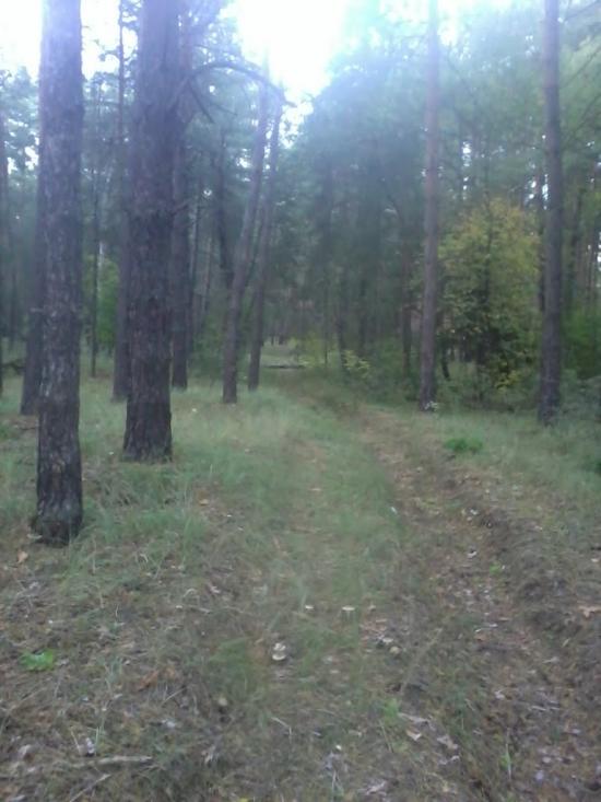 Райгородка з panoramio.com - Райгородка