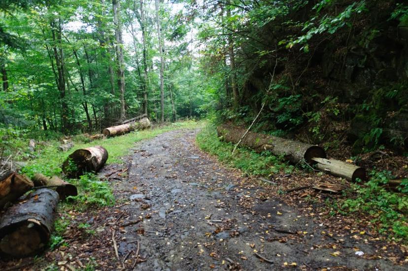 Буківцьово з panoramio.com - Буковцево