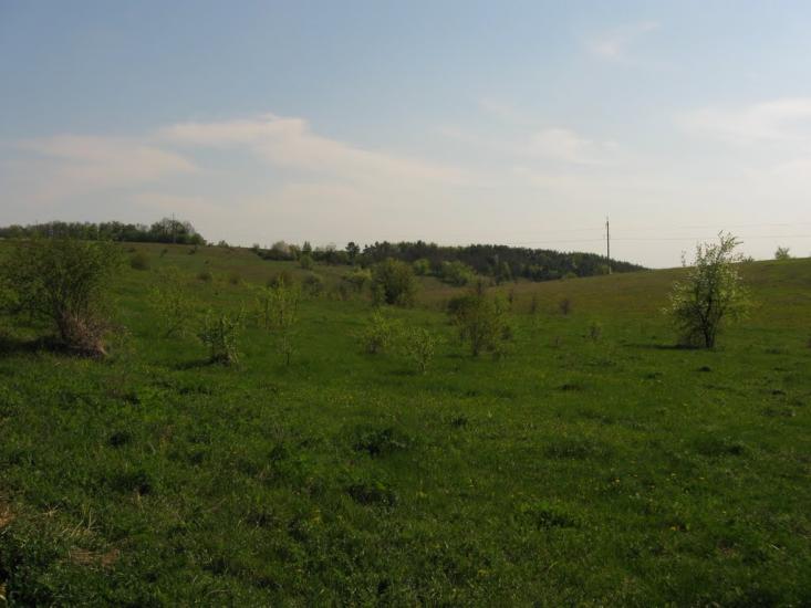 Кунка з panoramio.com - Кунка