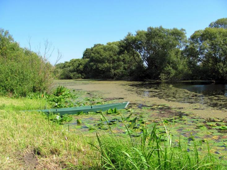 Мульчиці з panoramio.com - Мульчиці