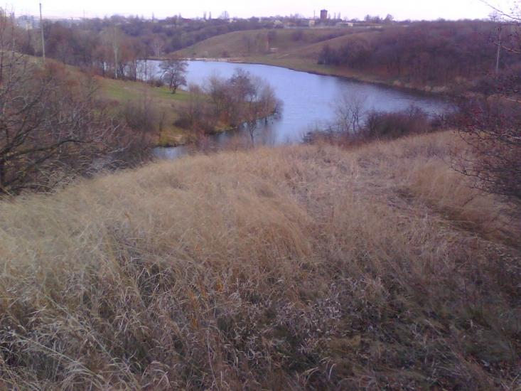 Новгородське з panoramio.com - Новгородське