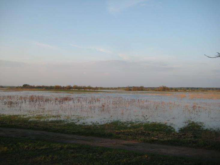 Кузьки з panoramio.com - Кузьки