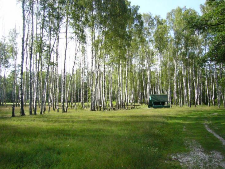 Тростяниця з panoramio.com - Тростяниця