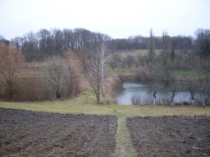 Вербка з panoramio.com - Вербка