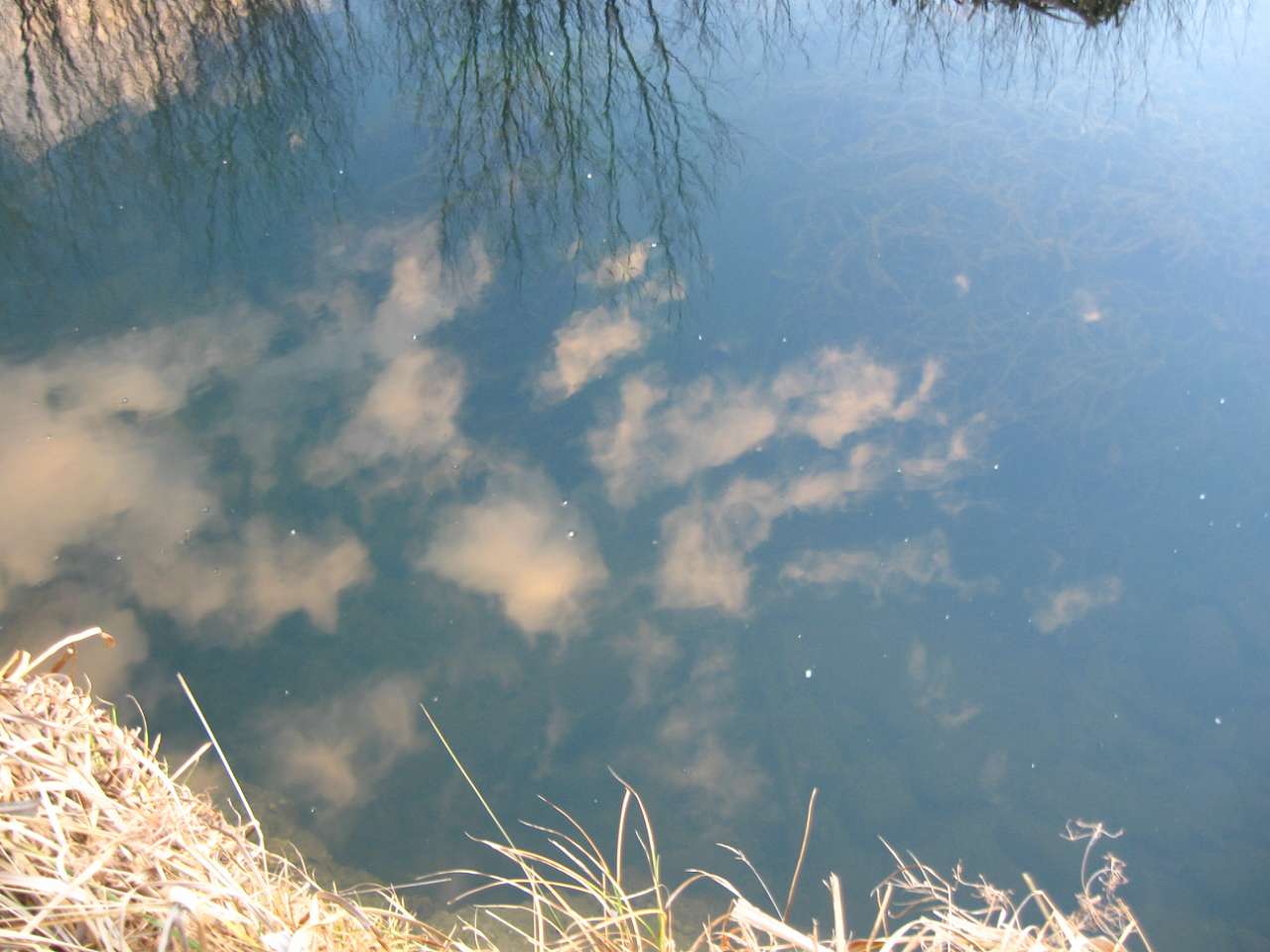 І СВІТАЄ, І СМЕРКАЄ - Nebyliv