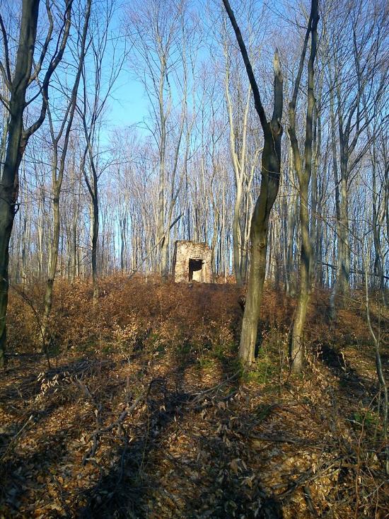 Добромиль з panoramio.com - Dobromyl