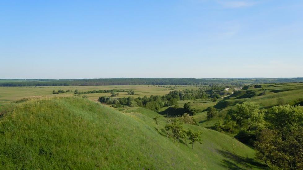 Велика Рибиця з panoramio.com - Velyka Rybytsya