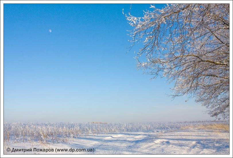 Липці з panoramio.com - Липцы