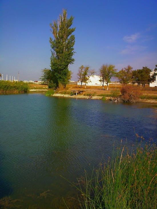 Віліне з panoramio.com - Viline