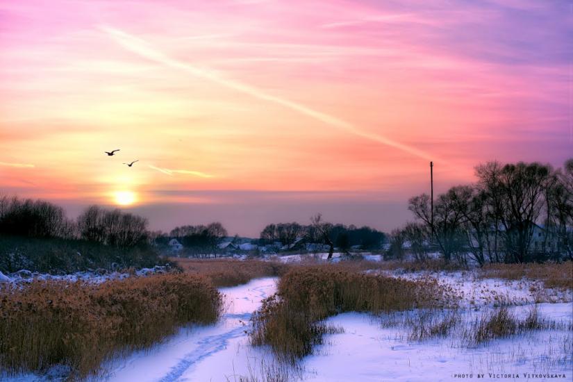 Рожів з panoramio.com - Рожев