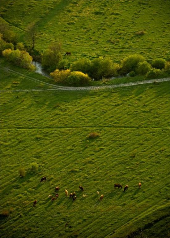 Біла Скеля з panoramio.com - Bila Skelya