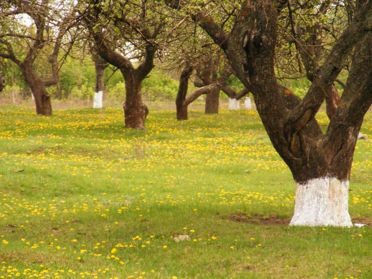 Салькове з panoramio.com - Сальково