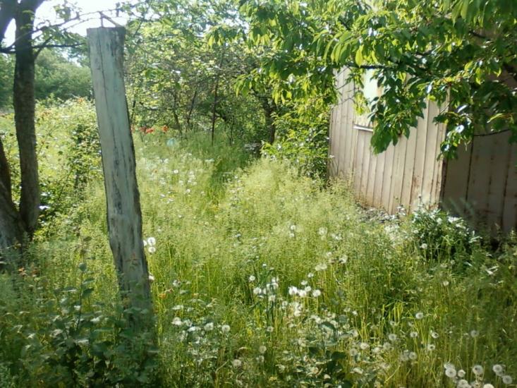 Дергачі з panoramio.com - Дергачи