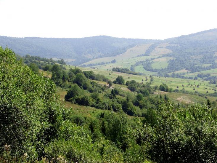 Плав'я з panoramio.com - Плавья