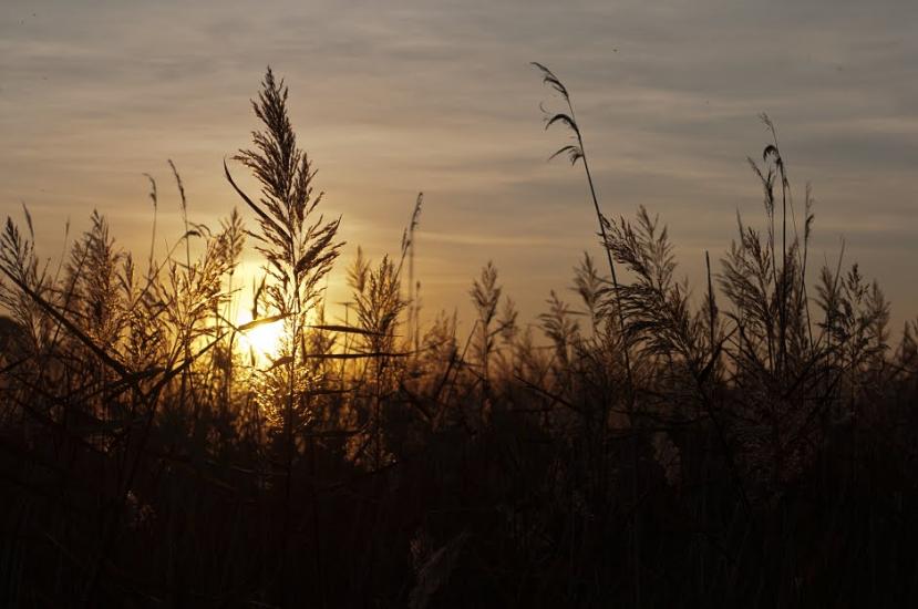 Бальківці з panoramio.com - Бальківці