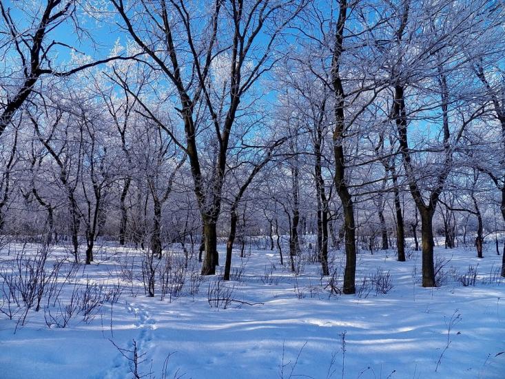 Булавинське з panoramio.com - Булавинське