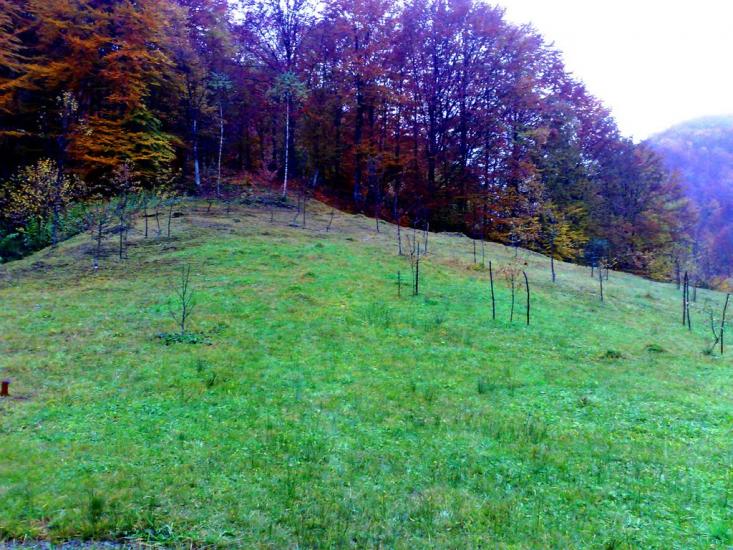 Водиця з panoramio.com - Водица