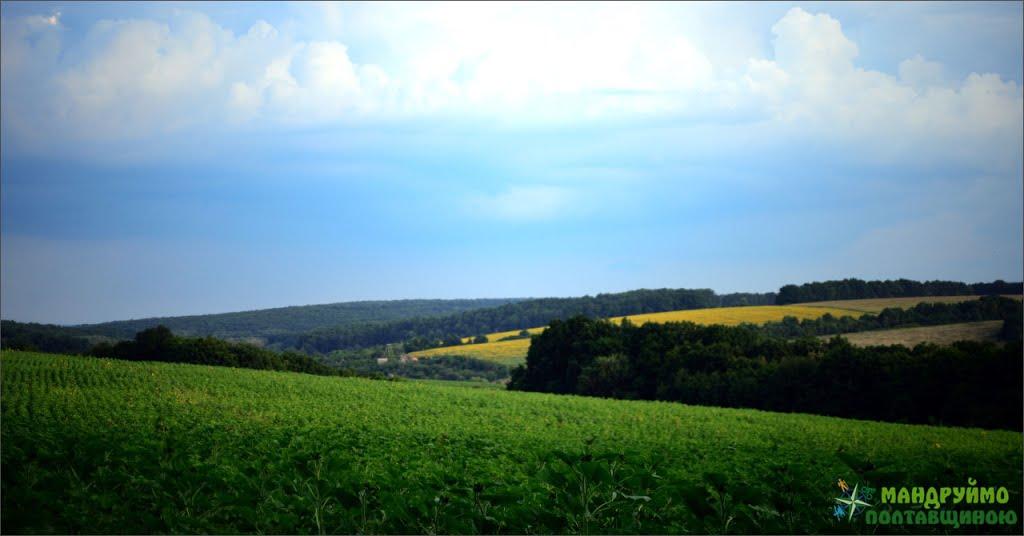 Вищі Вільшани з panoramio.com - Высшие Вильшаны