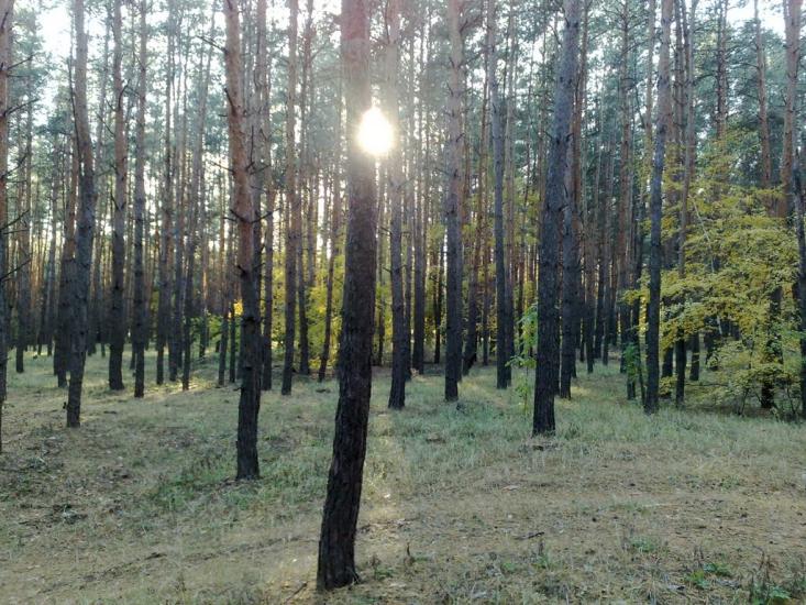 Прелесне з panoramio.com - Прелесне