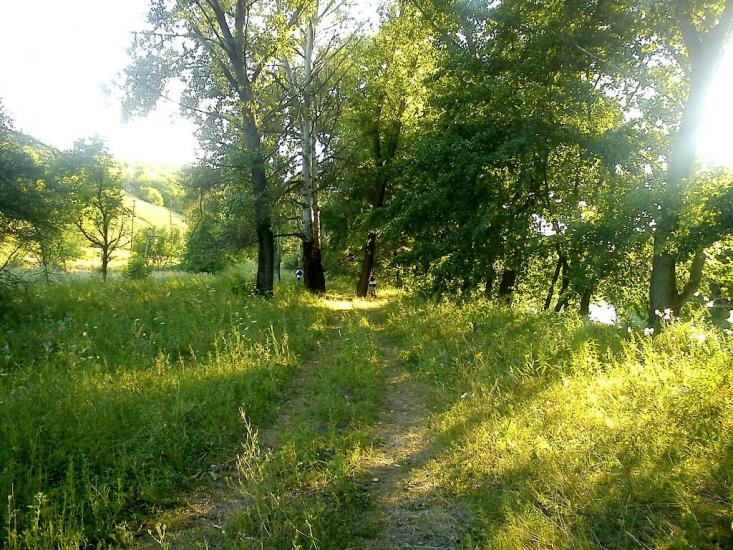 Донецьке з panoramio.com - Донецкое