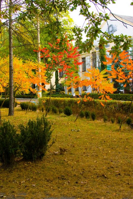 Гамарня з panoramio.com - Гамарня